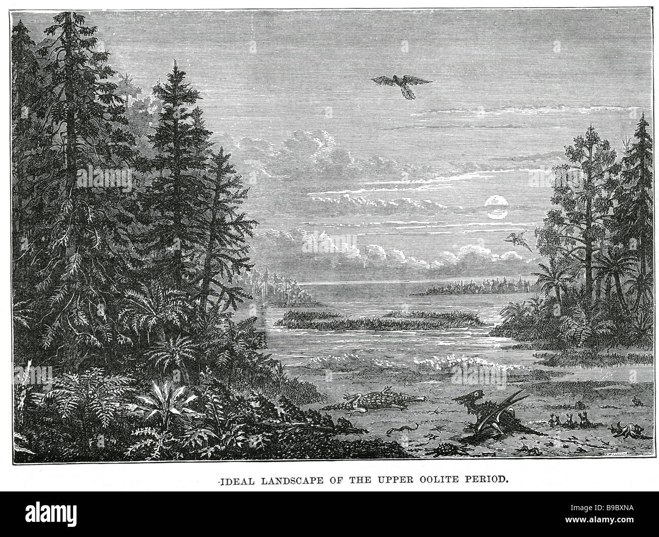 Paesaggio ideale della tomaia oolite periodo creature preistoriche crocs paesaggio periodo jurrasic dinosauro riva del mare spiaggia Foto Stock