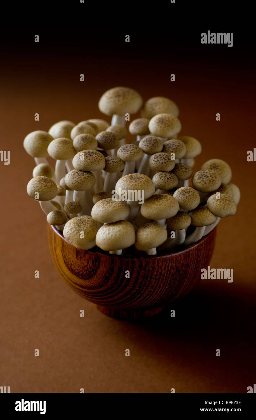 Buna funghi shimeji in una ciotola di legno su uno sfondo marrone Foto Stock