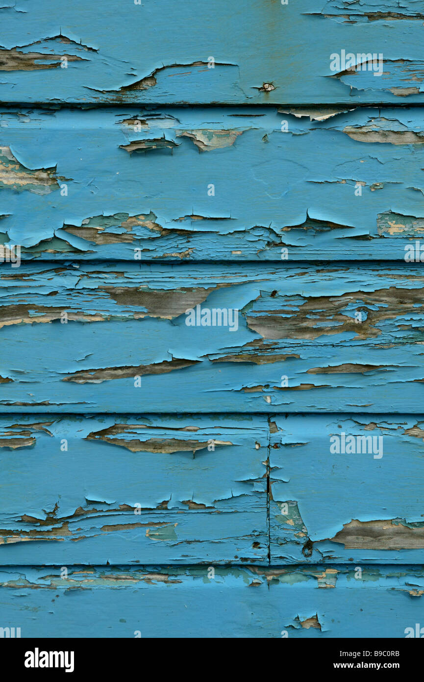 Vecchia verniciatura usurati che mostra la vernice che si stacca dal la parete in legno di un meteo indossato beach hut Foto Stock
