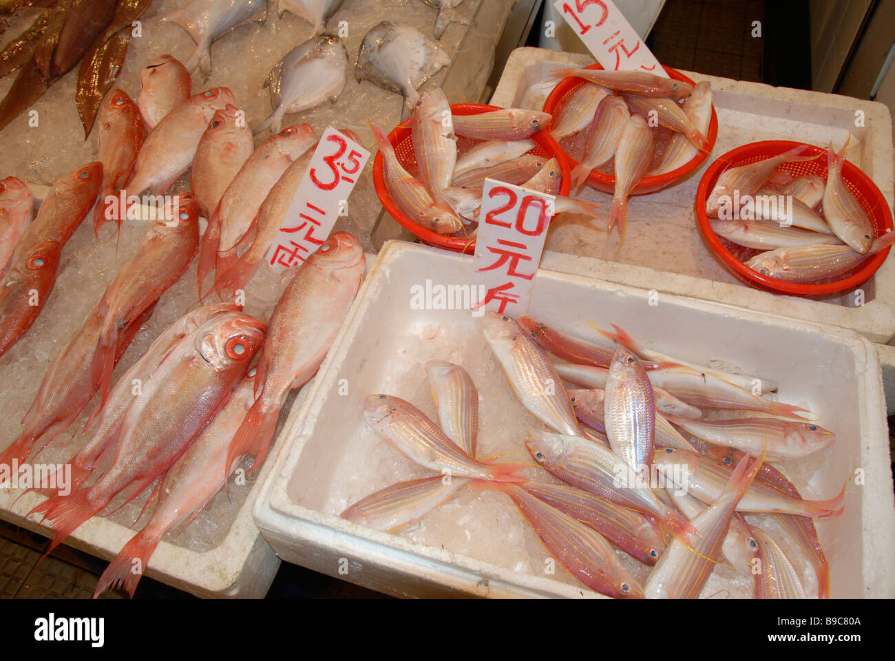 Stallo di pesci, Punto Nord mercato, isola di Hong Kong, Cina Foto Stock