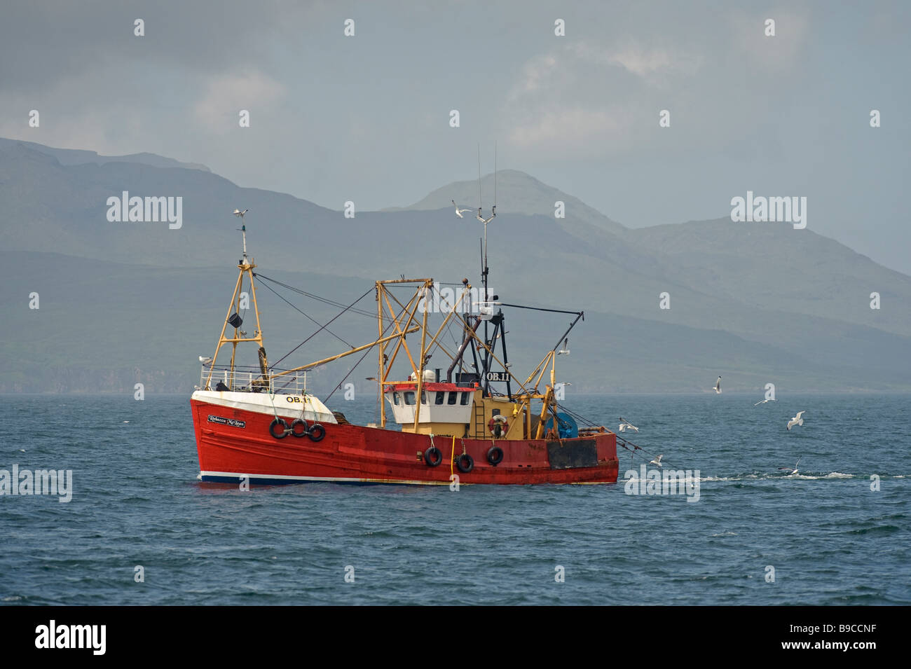 Oban trawler Rebecca McLean la pesca di scampi nel suono di Mull, Scozia. Foto Stock