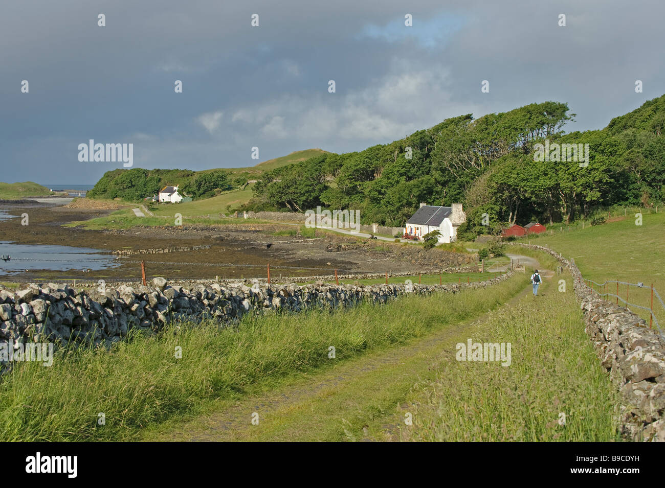 Isola di canna in estate. Le piccole isole della Scozia. Foto Stock
