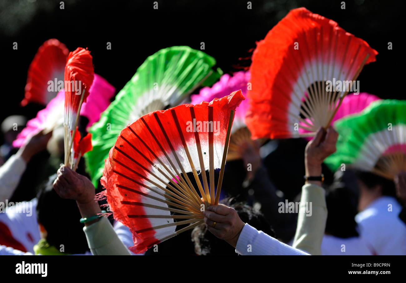 Birmingham San Patrizio Parade, Digbeth, Birmingham, Inghilterra, Regno Unito. I fan cinesi in parata. Foto Stock