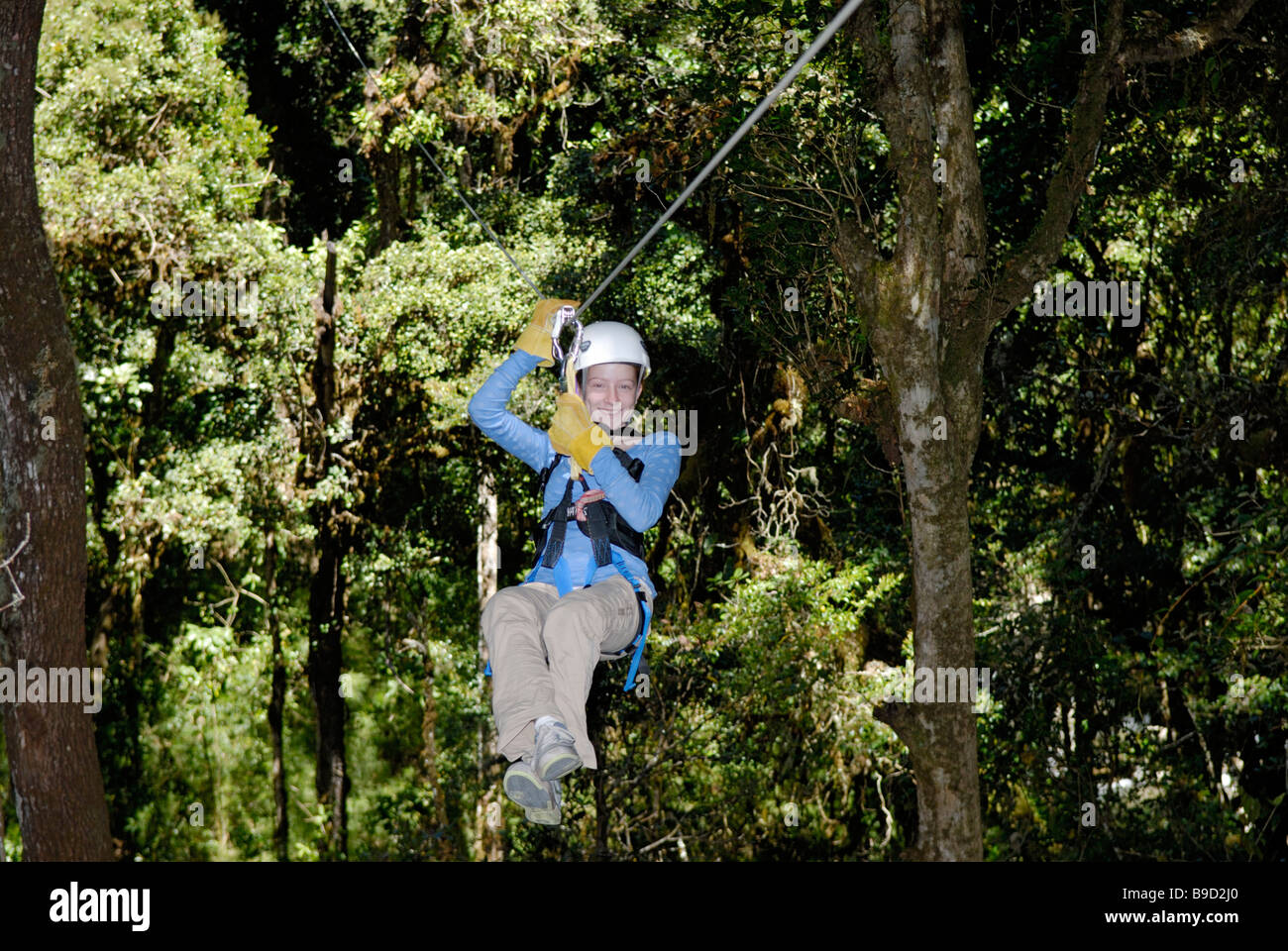 Zipline ride nella foresta pluviale, Costa Rica Foto Stock