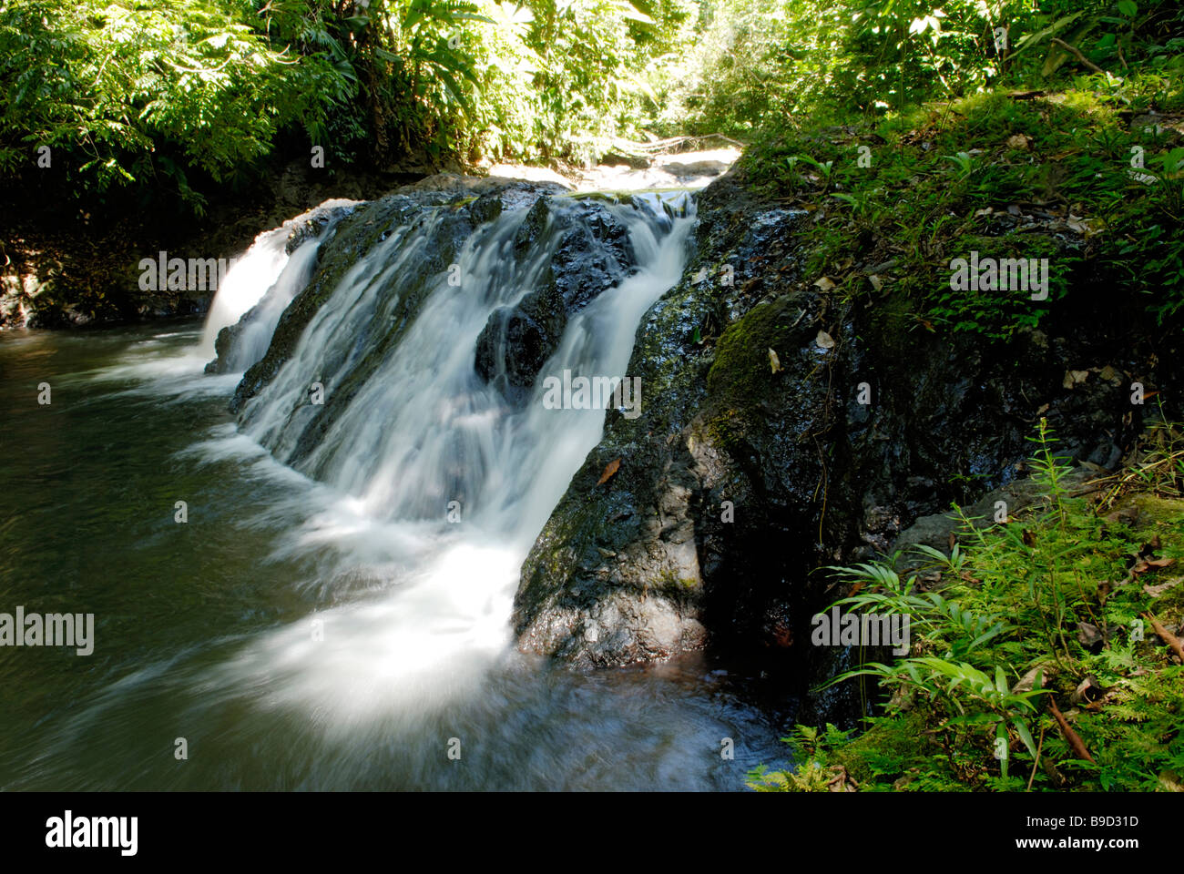 Cascata, il Parco Nazionale di Corcovado Foto Stock