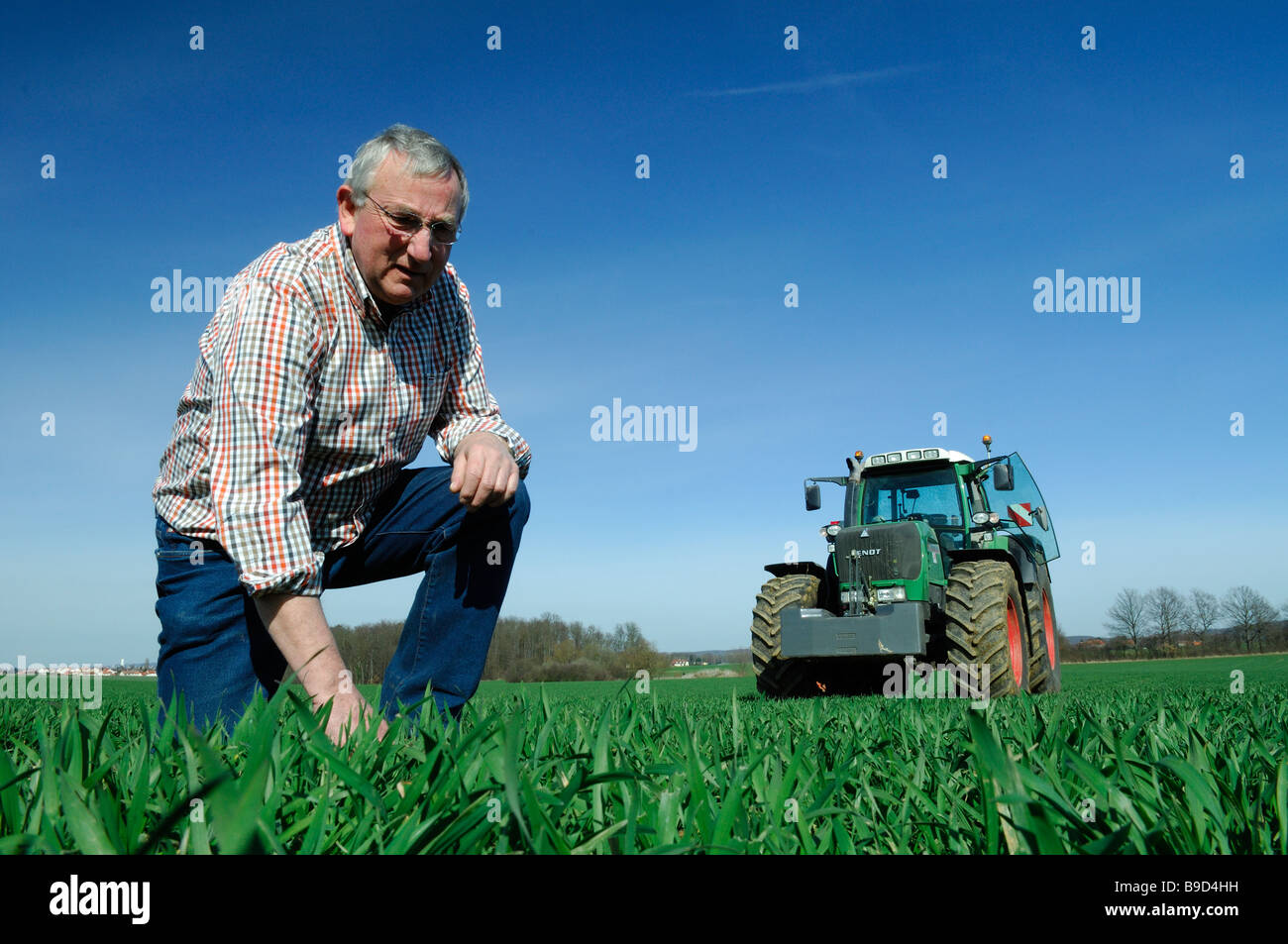 Un allevatore francese nel campo controllo precoce di piante di frumento Foto Stock