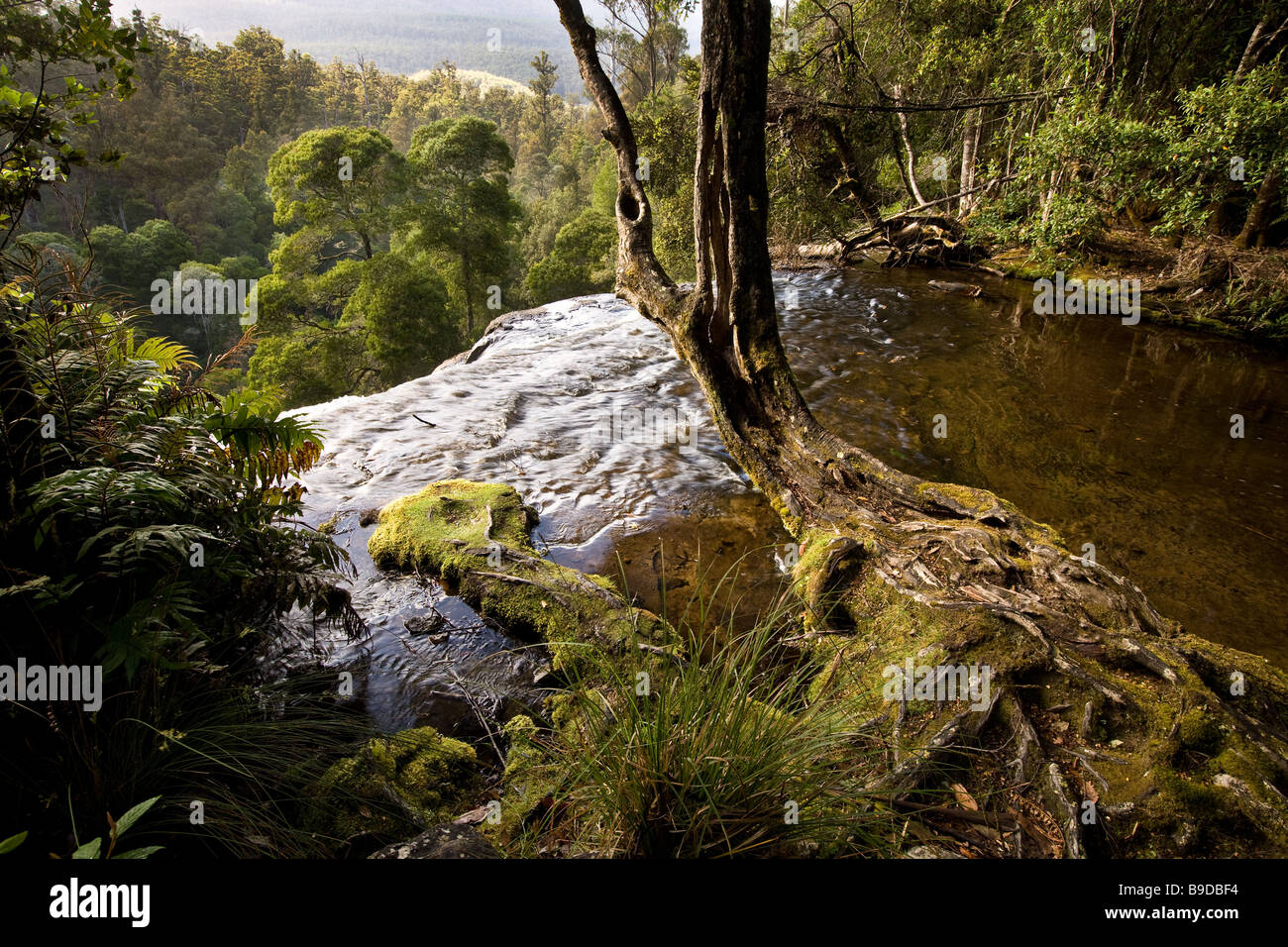Ruscello di montagna in alto di acqua caduta Parco Nazionale Mt Field Tasmania Australiawaterfall Foto Stock