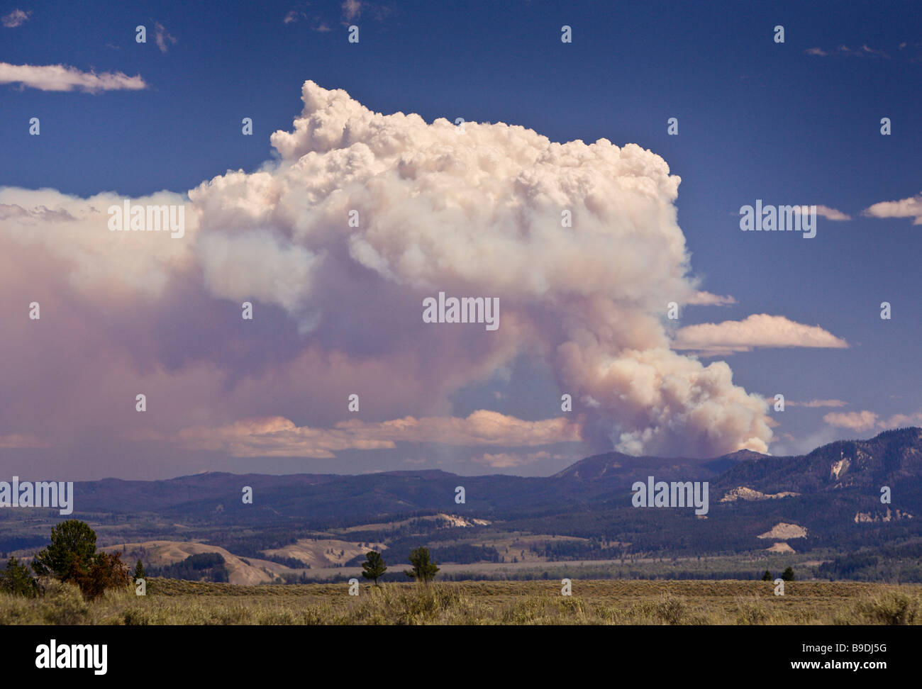 WYOMING USA pennacchio di fumo da incendio di foresta vicino al Parco Nazionale di Grand Teton Foto Stock