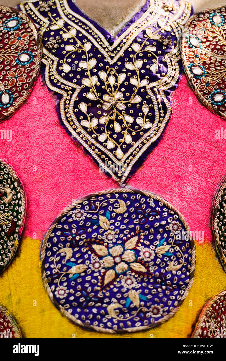 Close-up di un dipinto di Elefanti Elefante Festival, Jaipur, Rajasthan, India Foto Stock