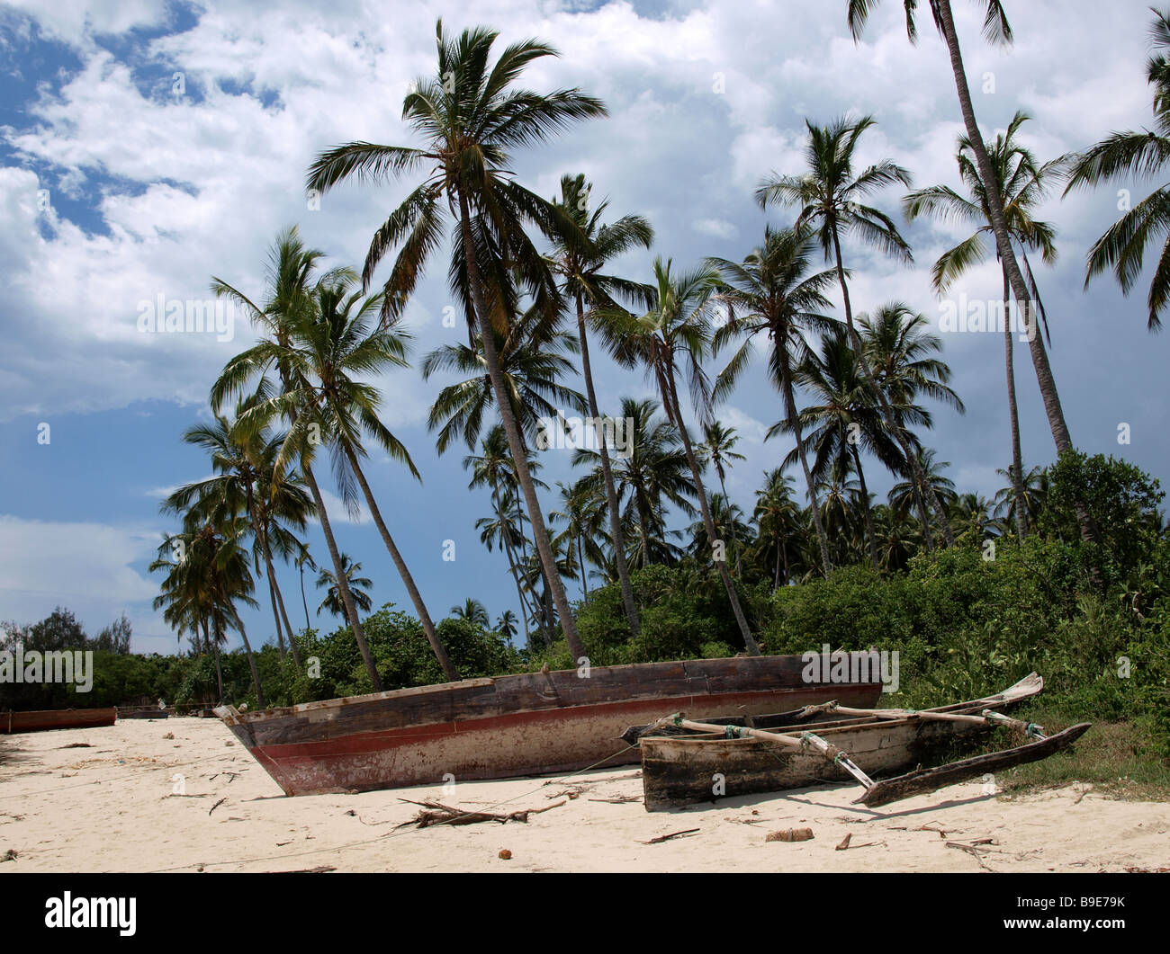 Ngalawas barche di pescatori locali (spesso erroneamente chiamato dhows) spiaggiata sotto le palme off Zanzibar Foto Stock