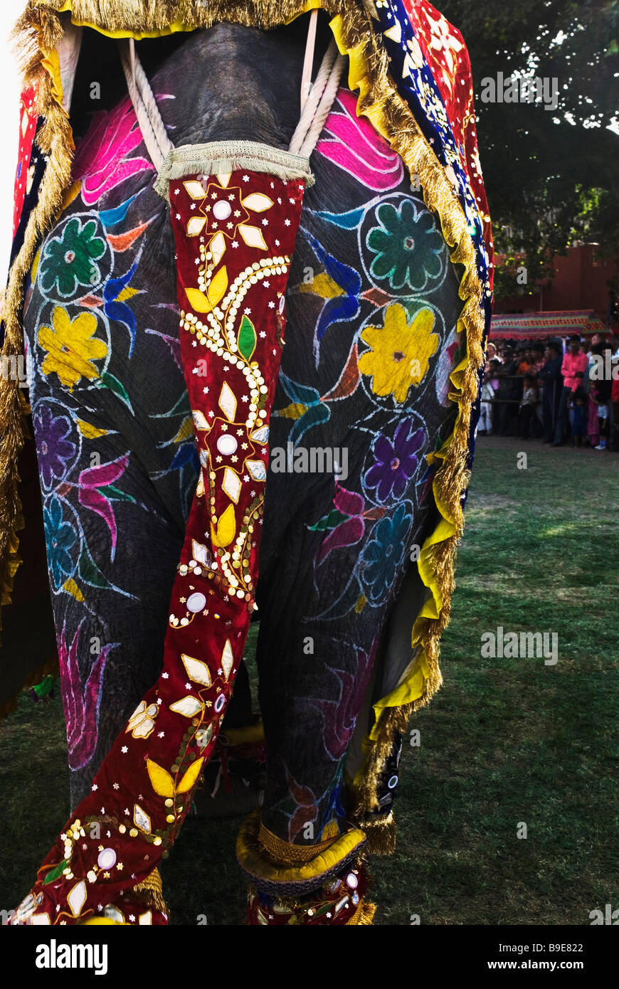 Vista posteriore di un elefante decorato, elefante Festival, Jaipur, Rajasthan, India Foto Stock