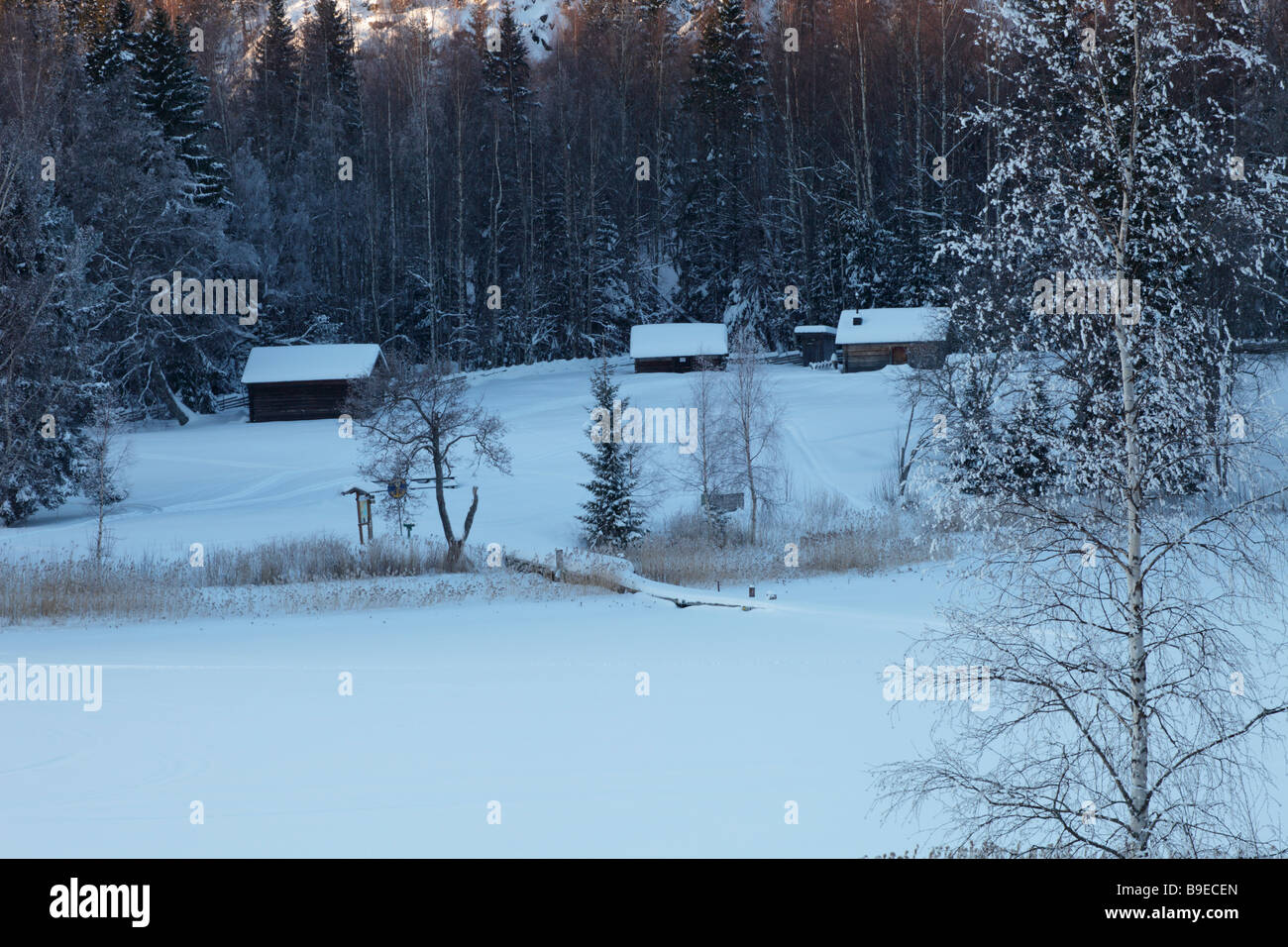 Agriturismi in inverno. Paesaggio rurale nel Patrimonio Mondiale UNESCO area Kusten Hoega / Costa Alta in Svezia Foto Stock