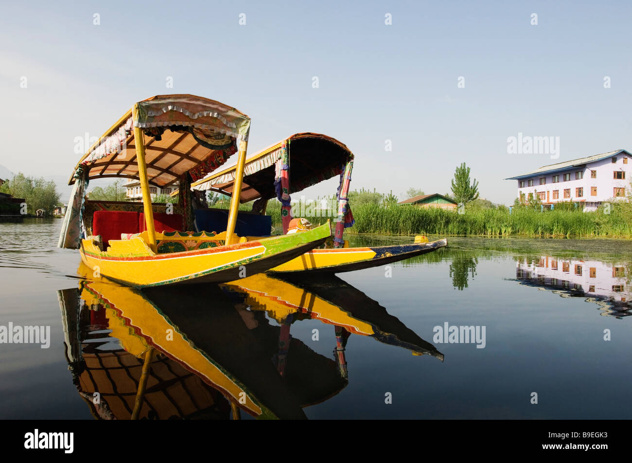 Due shikaras in un lago, dal lago, Srinagar, Jammu e Kashmir India Foto Stock