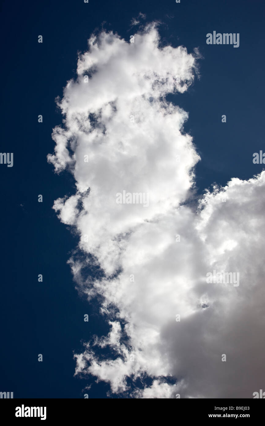 Puffy bianche nuvole su Colorado blue sky giorno Foto Stock