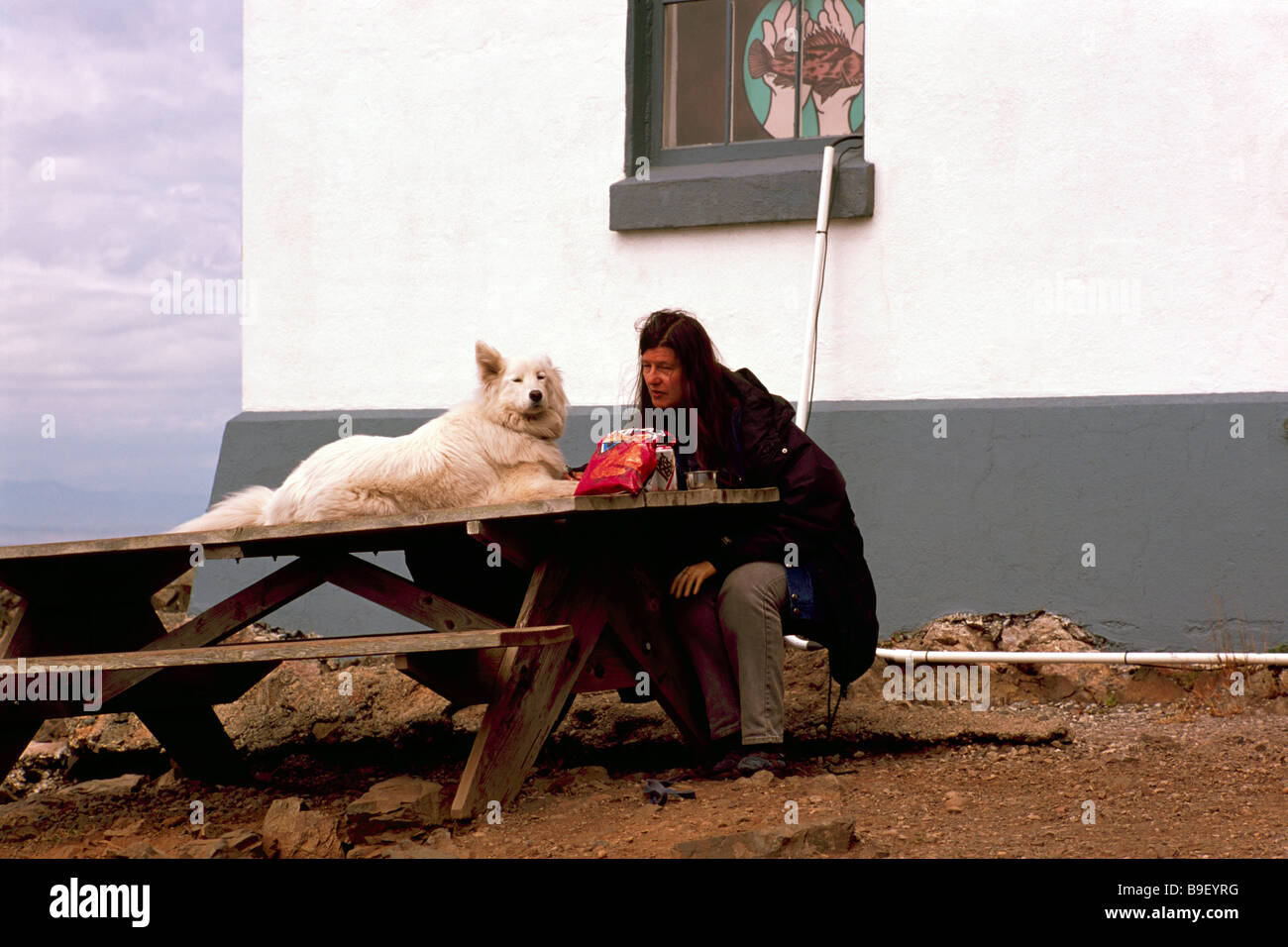 Cane che giace al di sopra del tavolo da picnic accanto a donna proprietario Foto Stock