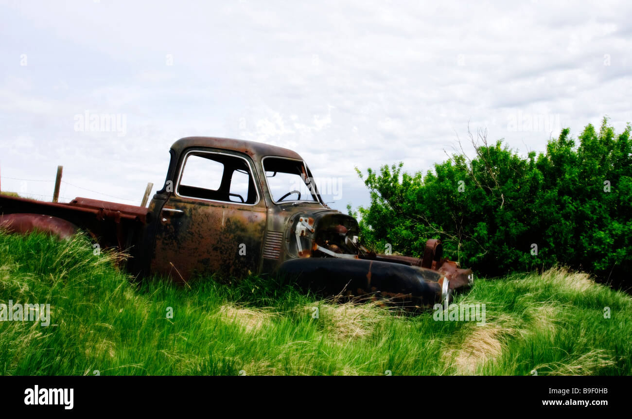 Un vecchio carrello GMC giace abbandonata e ricoperta in un campo di fattoria in Alberta. Foto Stock