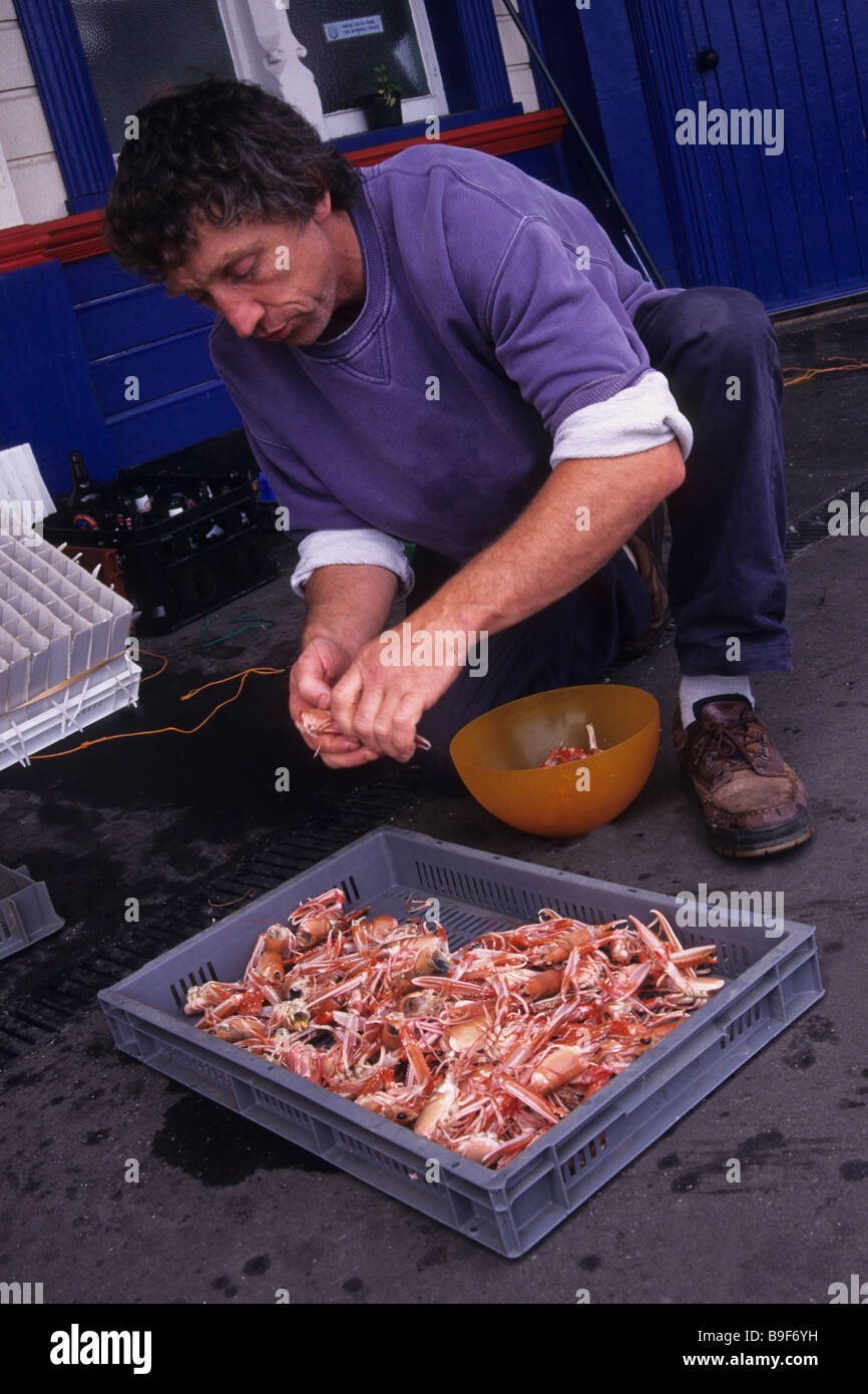 Fisherman con gamberetti, REGNO UNITO Foto Stock