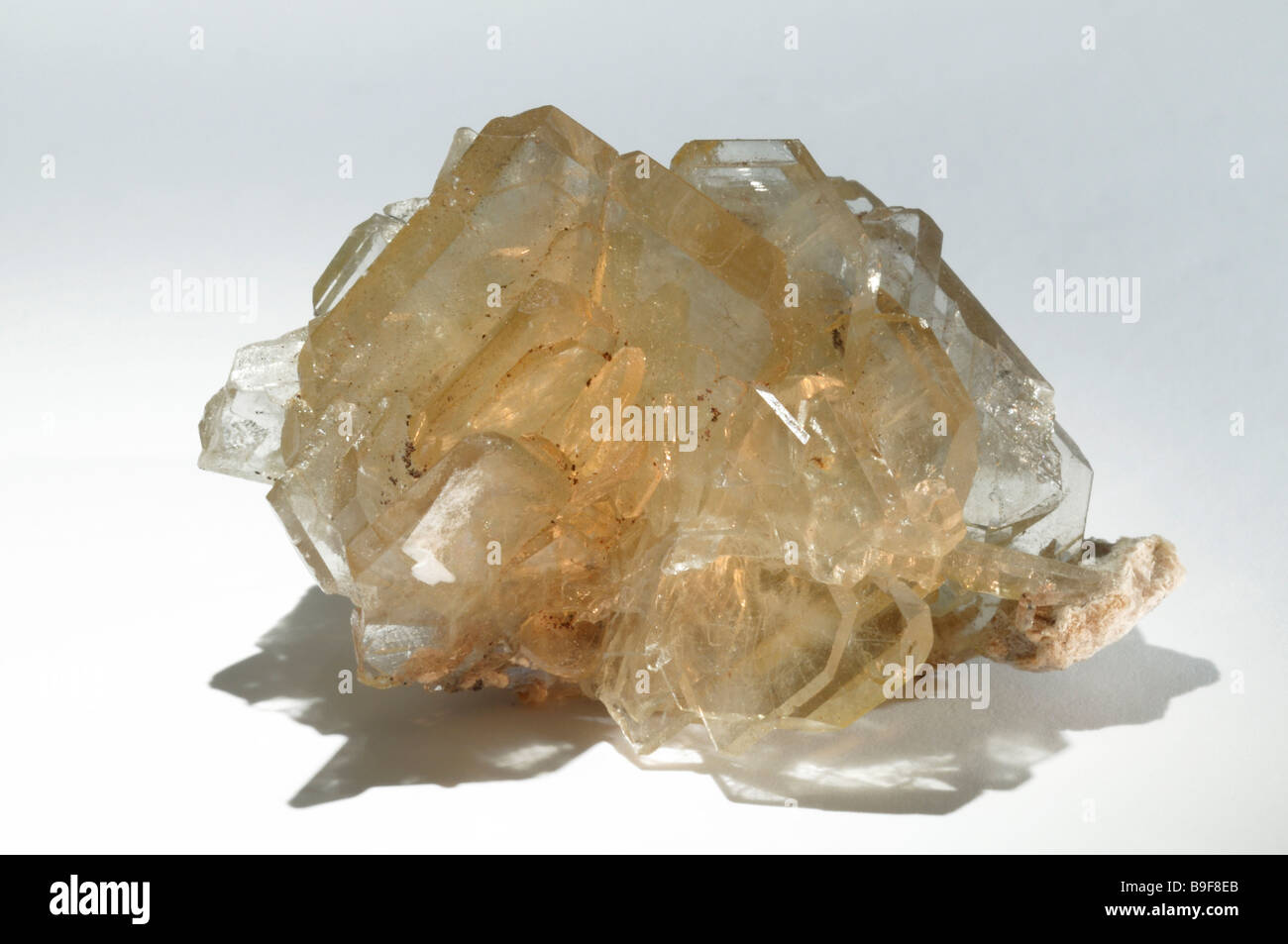 Barite, solfato di bario, cristalli, studio immagine Foto Stock