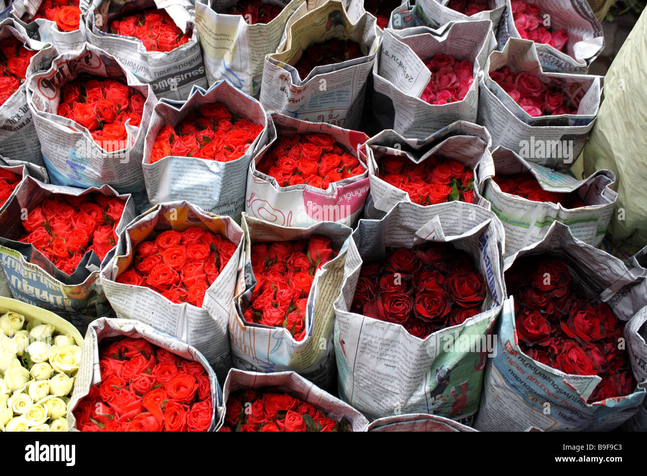 Fiori per la vendita, Pak Khlong Talat Il Mercato dei Fiori , Bangkok , Thailandia Foto Stock