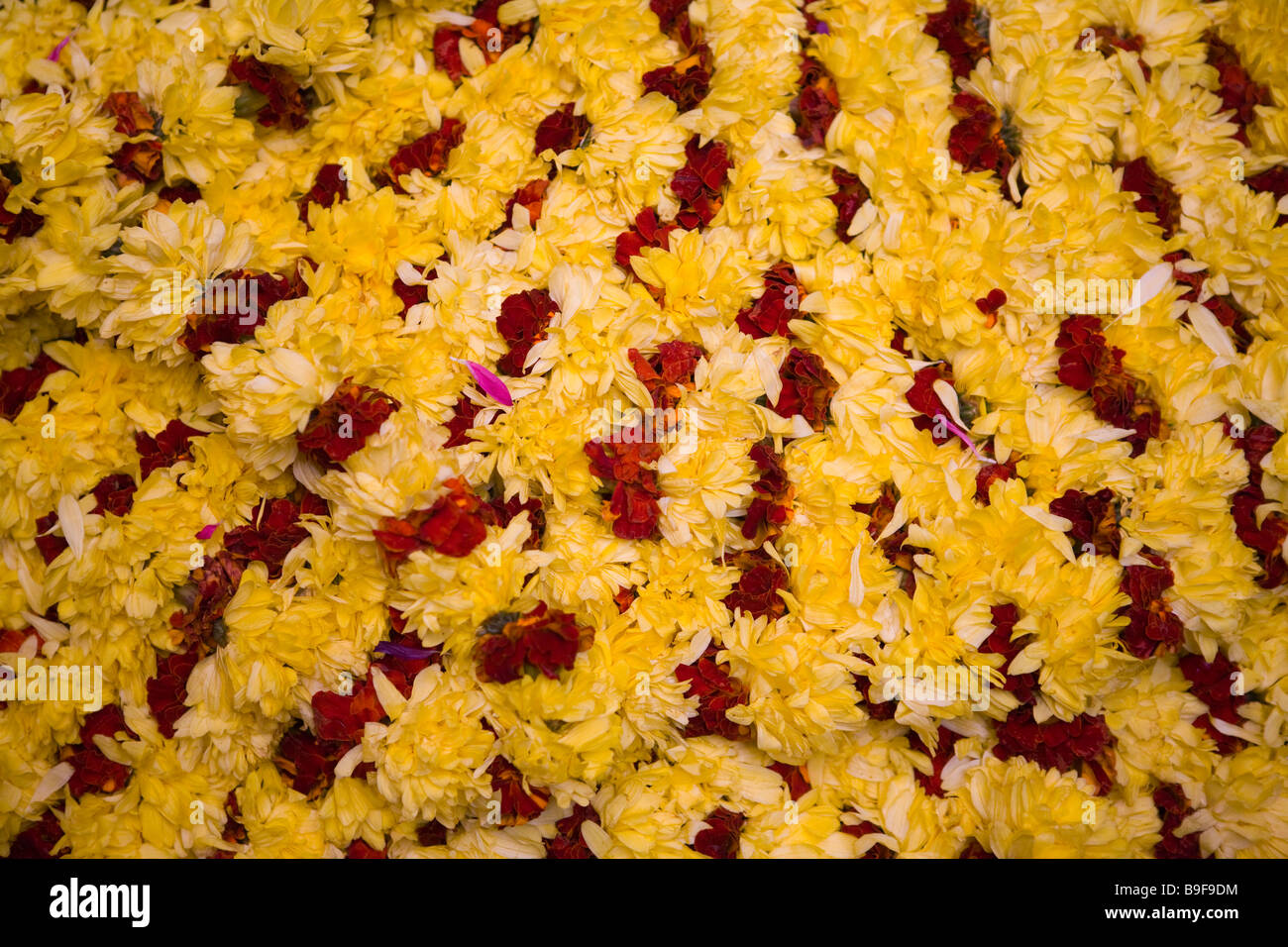 India Bengaluru Bangalore città mercato di fiori collana venditori Foto Stock