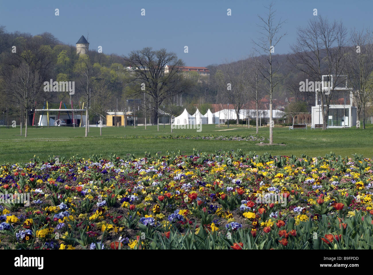 Al di fuori, bloom, aiuole, bloom, tempo di fioritura, federal garden fair, Germania, Gera, hofwiesenpark, Foto Stock