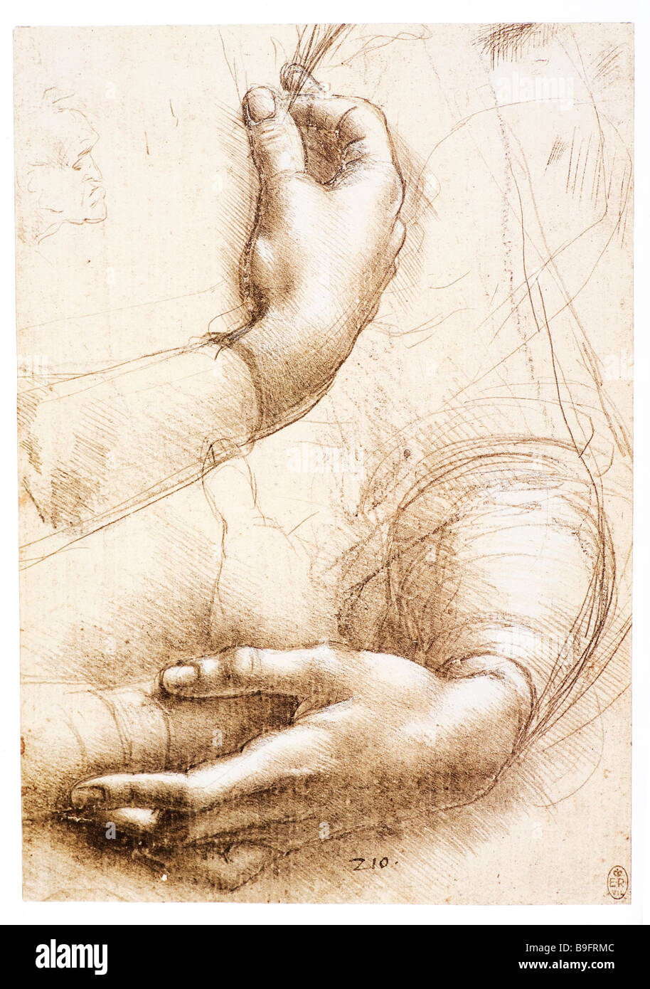 Foglio di studi di mani e braccia di Leonardo da Vinci 1478 Foto Stock