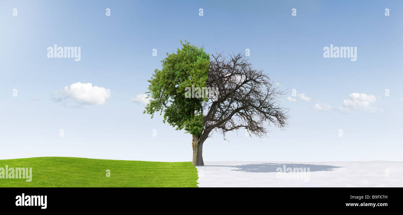 Rapido cambio di stagione. Foto Stock