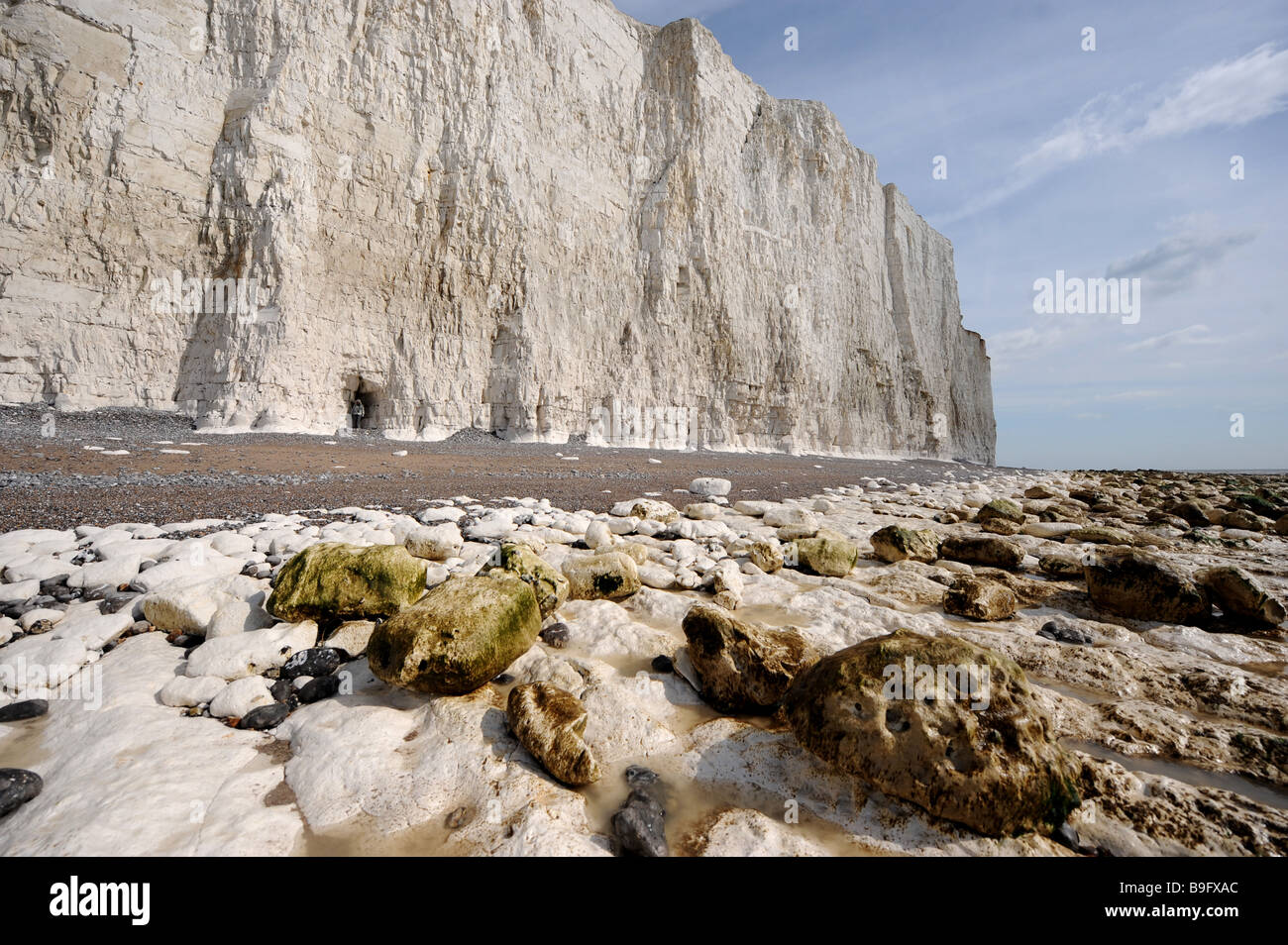 Chalk spiaggia e scogliere lungo le sette sorelle visto da Birling Gap in East Sussex Regno Unito Foto Stock