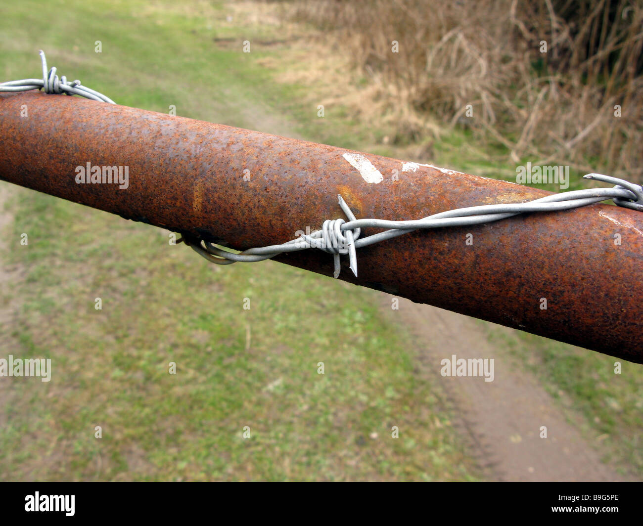 Filo spinato sulla recinzione arrugginita/gate Foto Stock