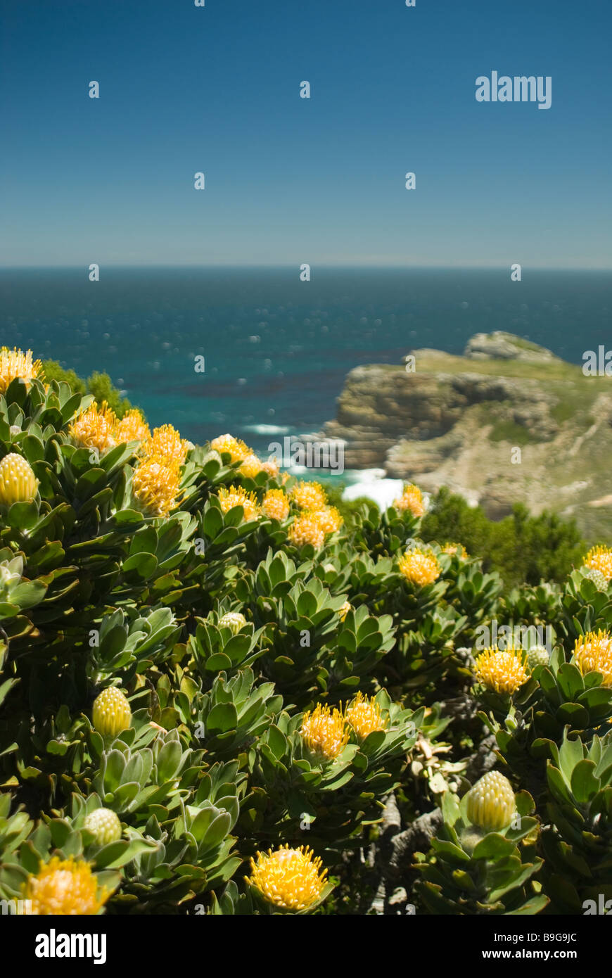 Vista del Capo di Buona Speranza a Cape Point, Sud Africa Foto Stock