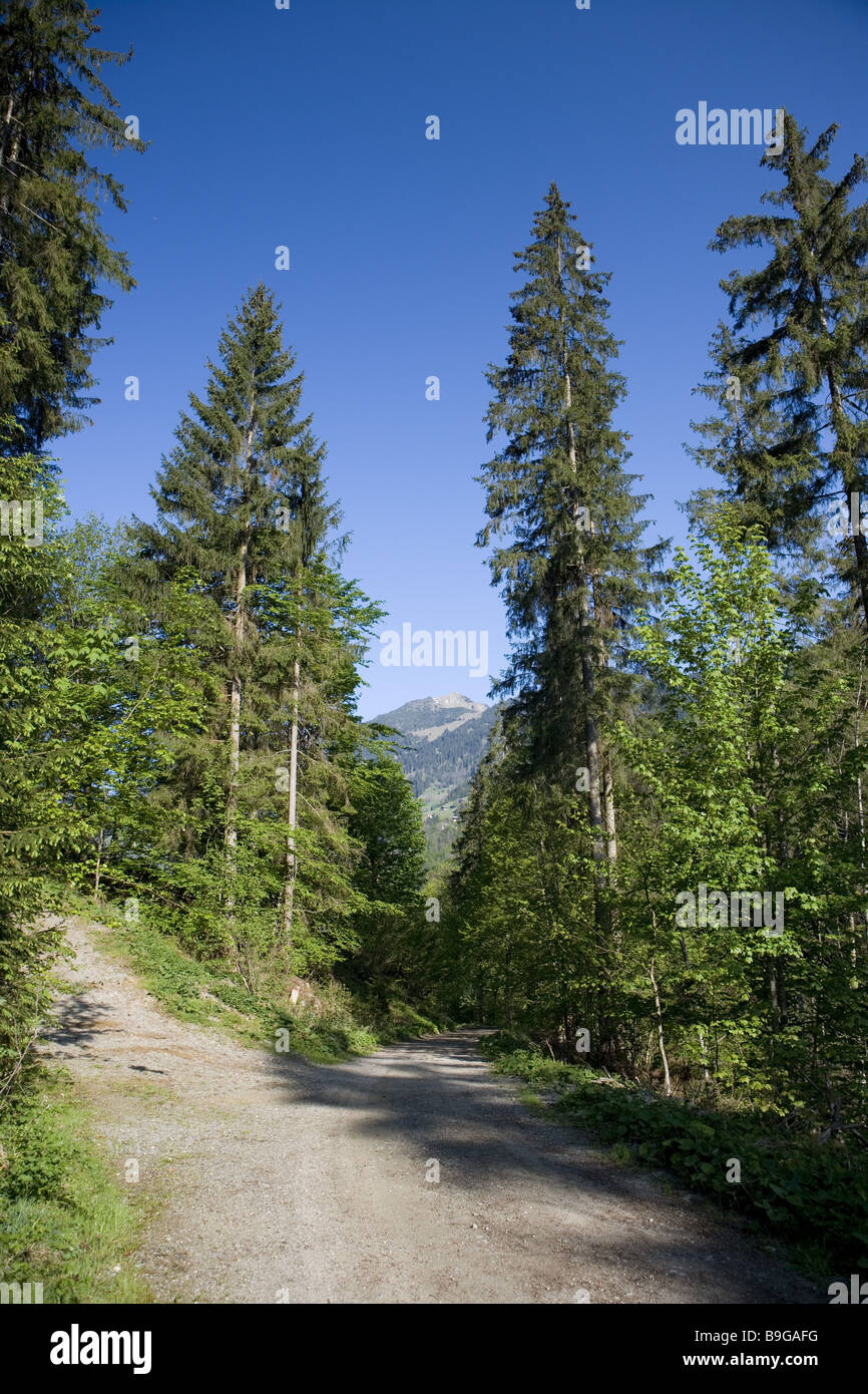 Austria Vorarlberg Montafon argento-valle Foto Stock