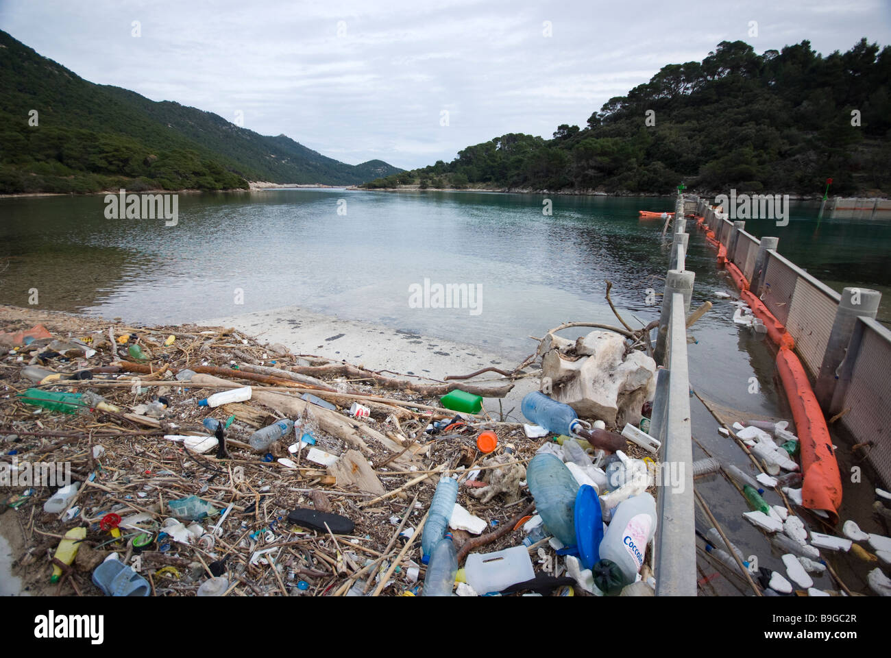 Raccoglie la spazzatura in un ingresso di Mljet National Park, un'isola di fronte alla costa della Dalmazia, Croazia Foto Stock