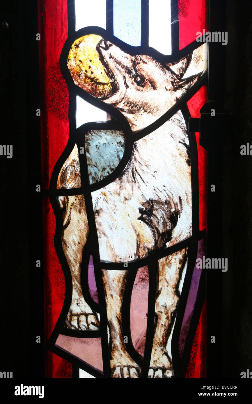 Macchia di finestra di vetro raffigurante un cane in San Roque la Chiesa nel nord della Galizia, Spagna Foto Stock