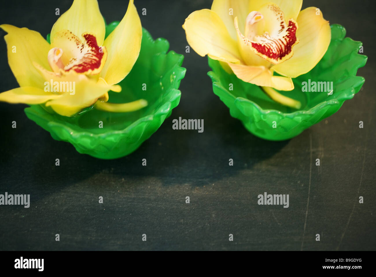 Fiore-decorazione orchid-fiore Foto Stock