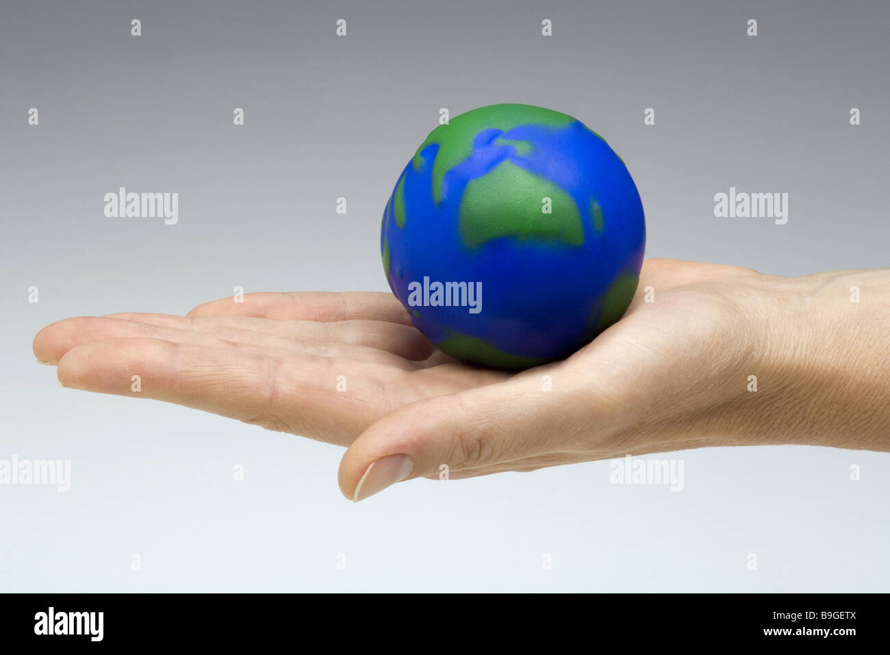 Palma di globo Foto Stock