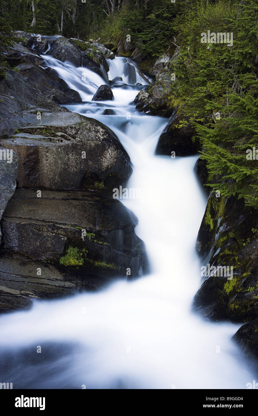 Stati Uniti Washington il parco nazionale del monte Rainier Paradise fiume cascata verso il basso America cresce su appartato relax flusso di rocce Foto Stock