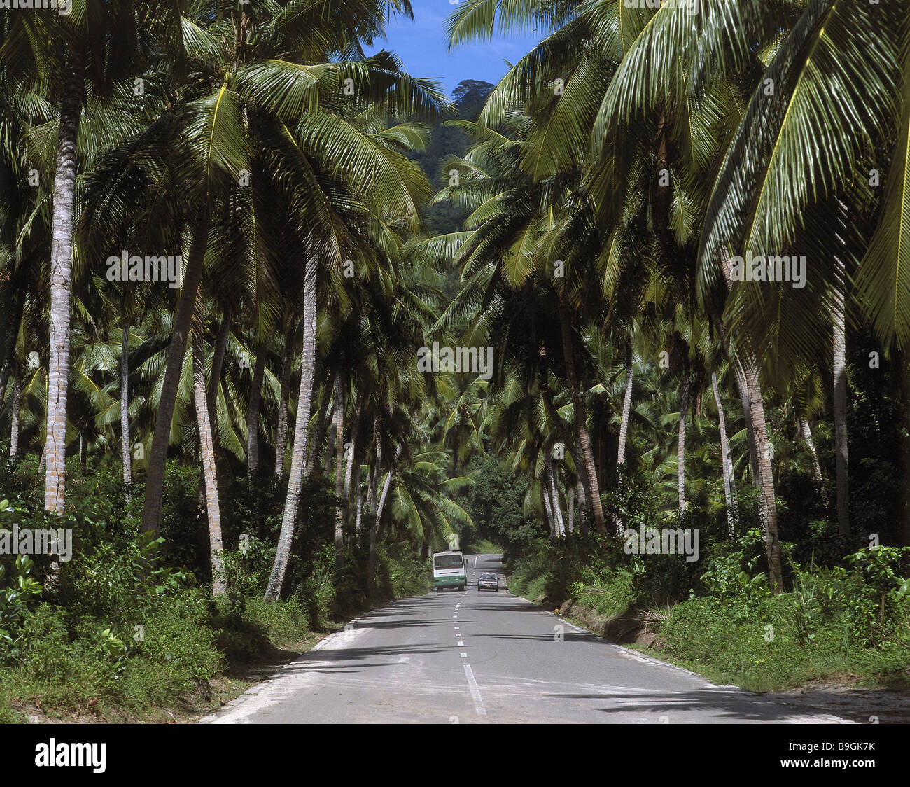 Seychelles country road palms vetture stato insulare isola-gruppo strade autostrada strade scenario sinistra bus di traffico con auto privata Foto Stock