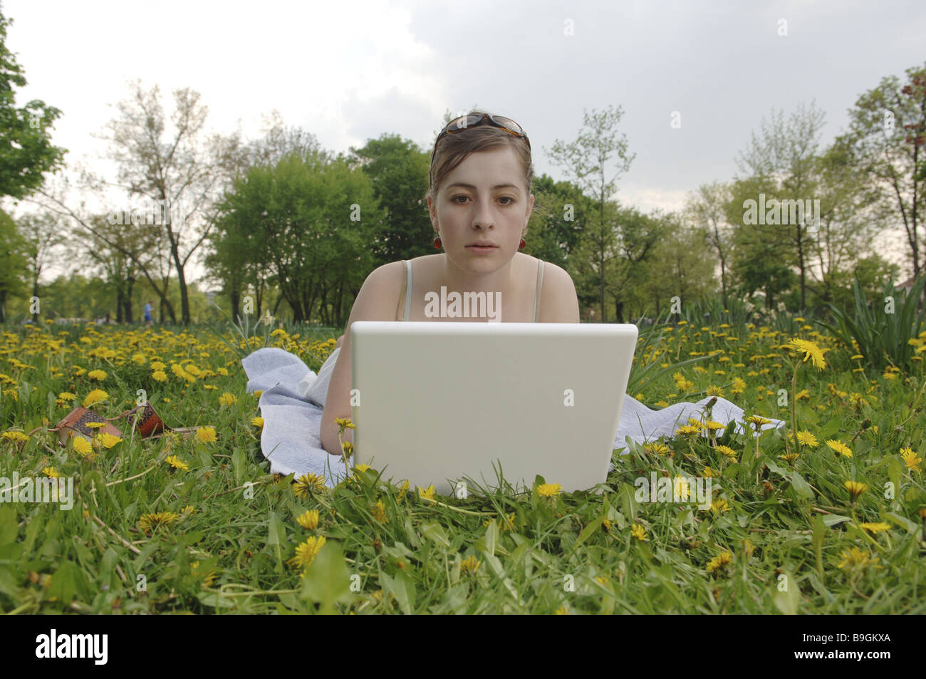 Donna giovane tarassaco-prato giacente Notebook navigare il web persone serie i ragazzi adolescenti flower meadow tarassaco bloom Foto Stock