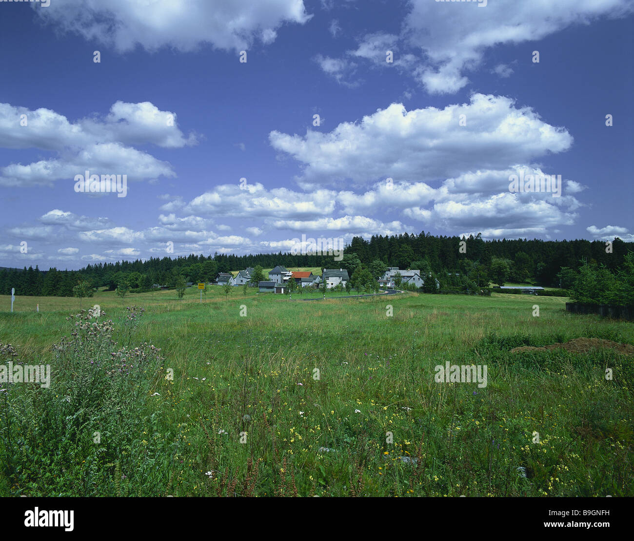 Germania Turingia ippodromo località prospettiva border-modo sentiero race track case di villaggio residenze estive rurale Foto Stock