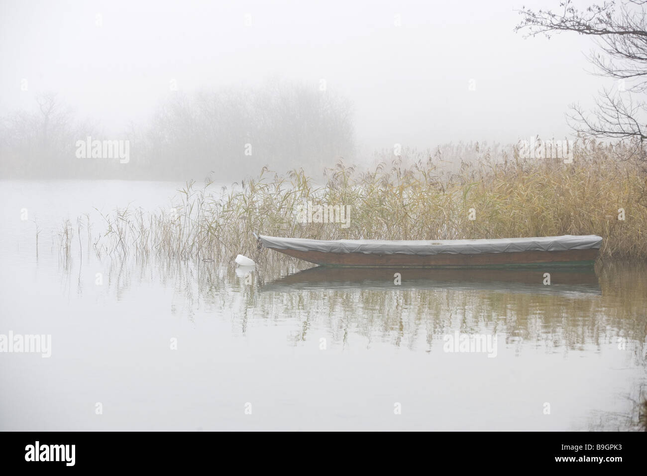 Lake Shore-barca di prossimità ancore nebbia autunno acque rive shore lamelle reed fisher-barca obiettivi coperti lascia la solitudine deserta Foto Stock