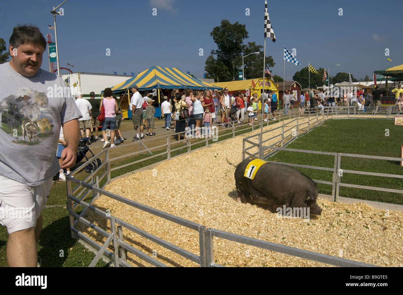 Spettatori in gare di maiale, Dutchess County Fair, Rhinebeck, New York Foto Stock