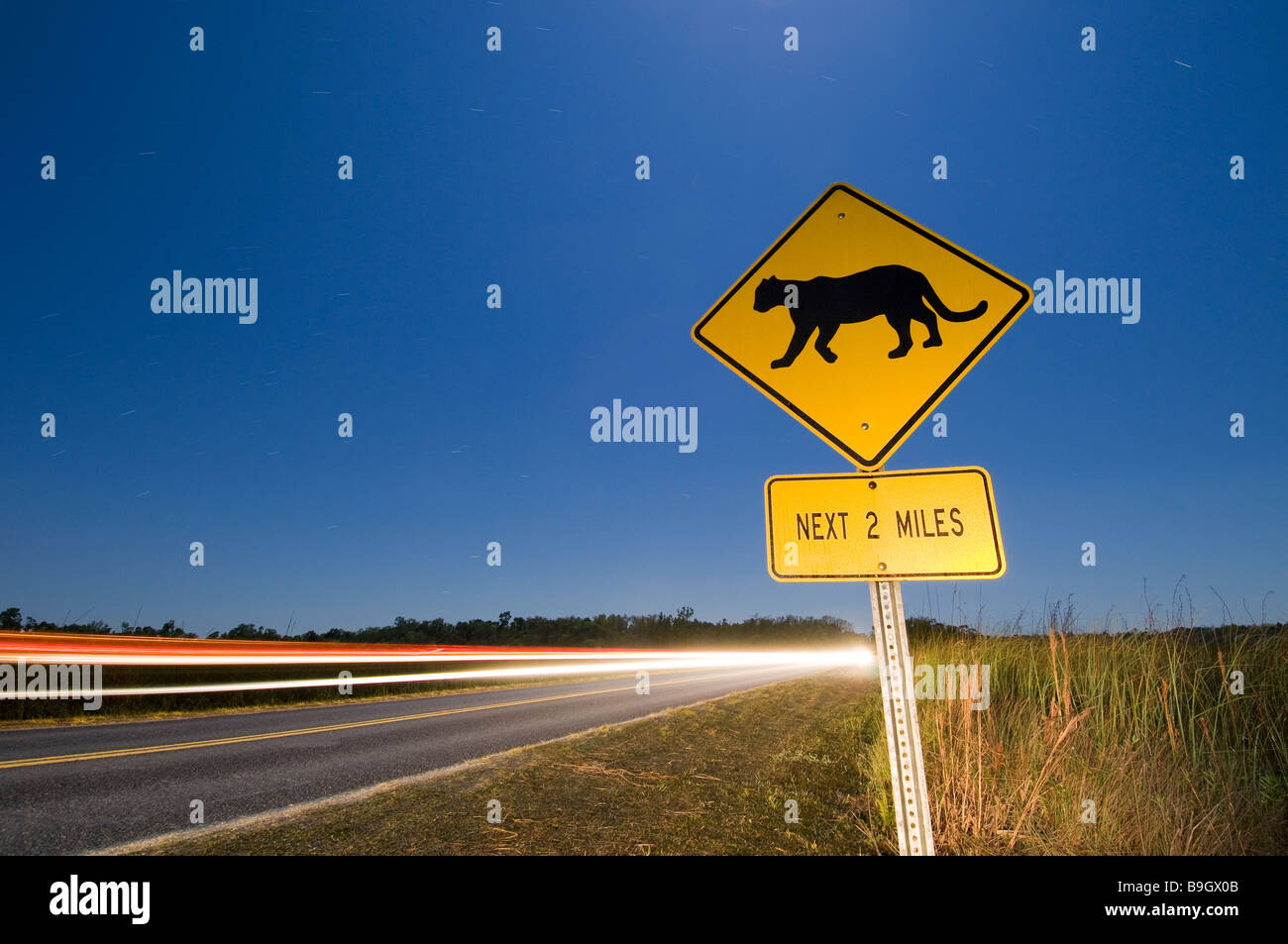 Cartello stradale avvisa gli automobilisti circa in via di estinzione Florida Panther, Everglades National Park, Florida Foto Stock