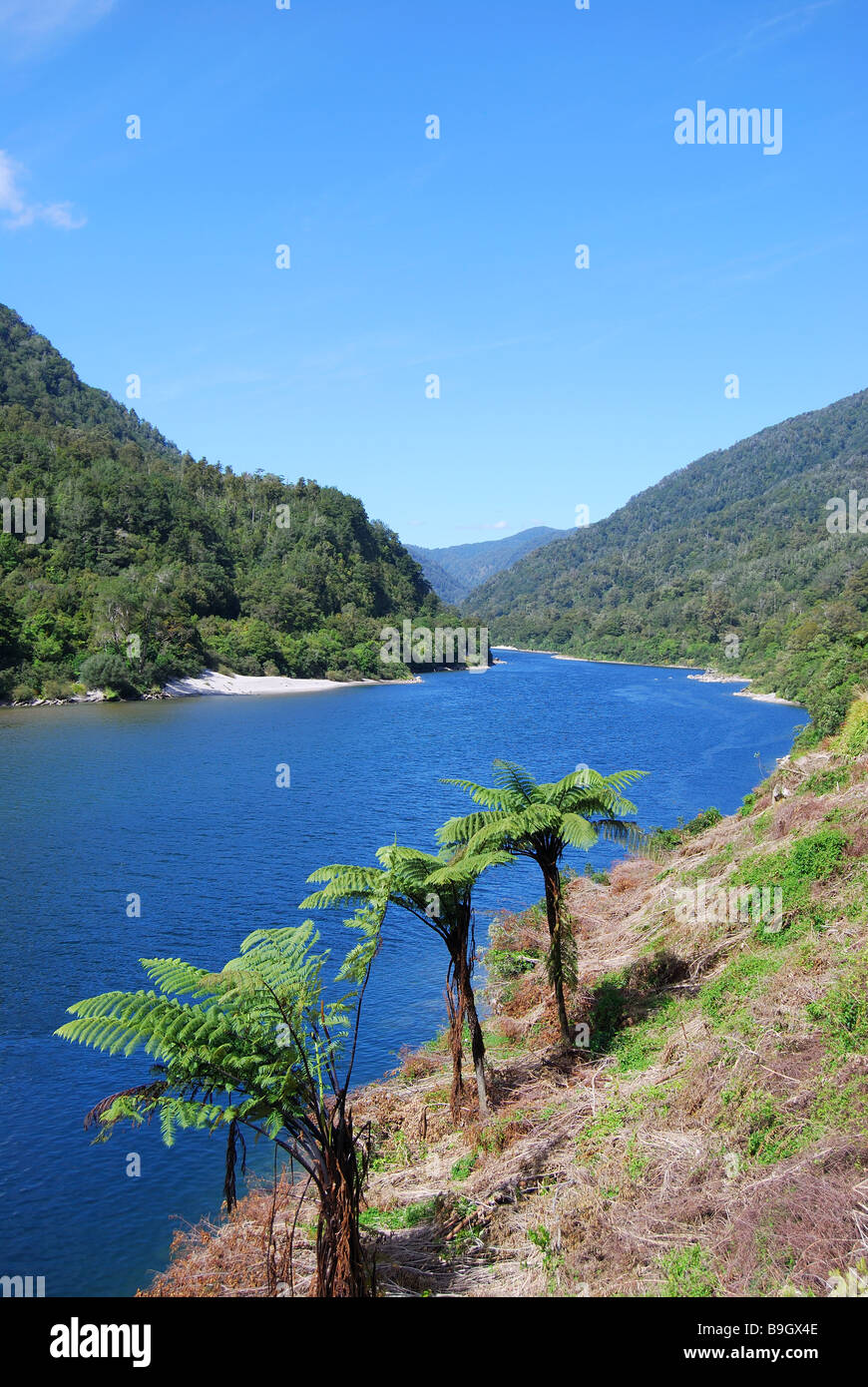 Abbassare Buller Gorge riserva paesaggistica, nella costa occidentale dell'Isola del Sud, Nuova Zelanda Foto Stock