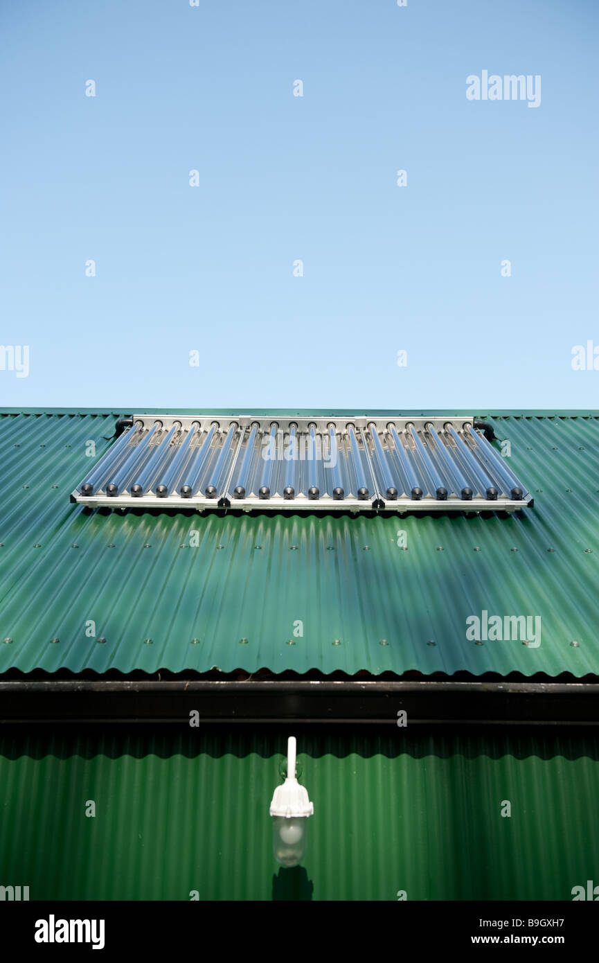 Riscaldamento Solare schiera di tubi su un tetto di convertire la luce solare in energia per riscaldare acqua, REGNO UNITO Foto Stock