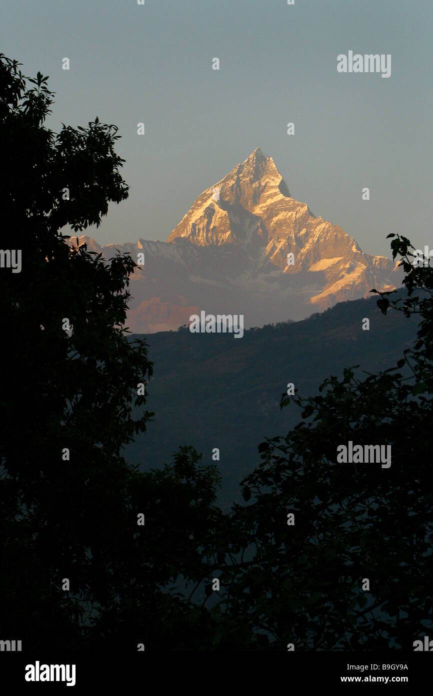 Vista serale della coda di pesce o Machhapuchre Mountain accanto all'Himalayan catena Hannapurna in Pokhara, Nepal. Foto Stock