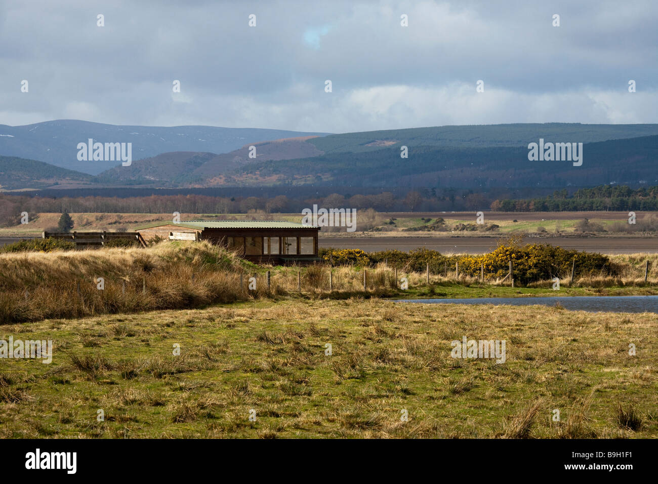 Riserva naturale RSPB Nigg, zone umide intermaree, fauna selvatica, paesaggio naturale, Mudflat, restauro di saltmarsh e prati umidi, Cromarty Firth, Regno Unito Foto Stock