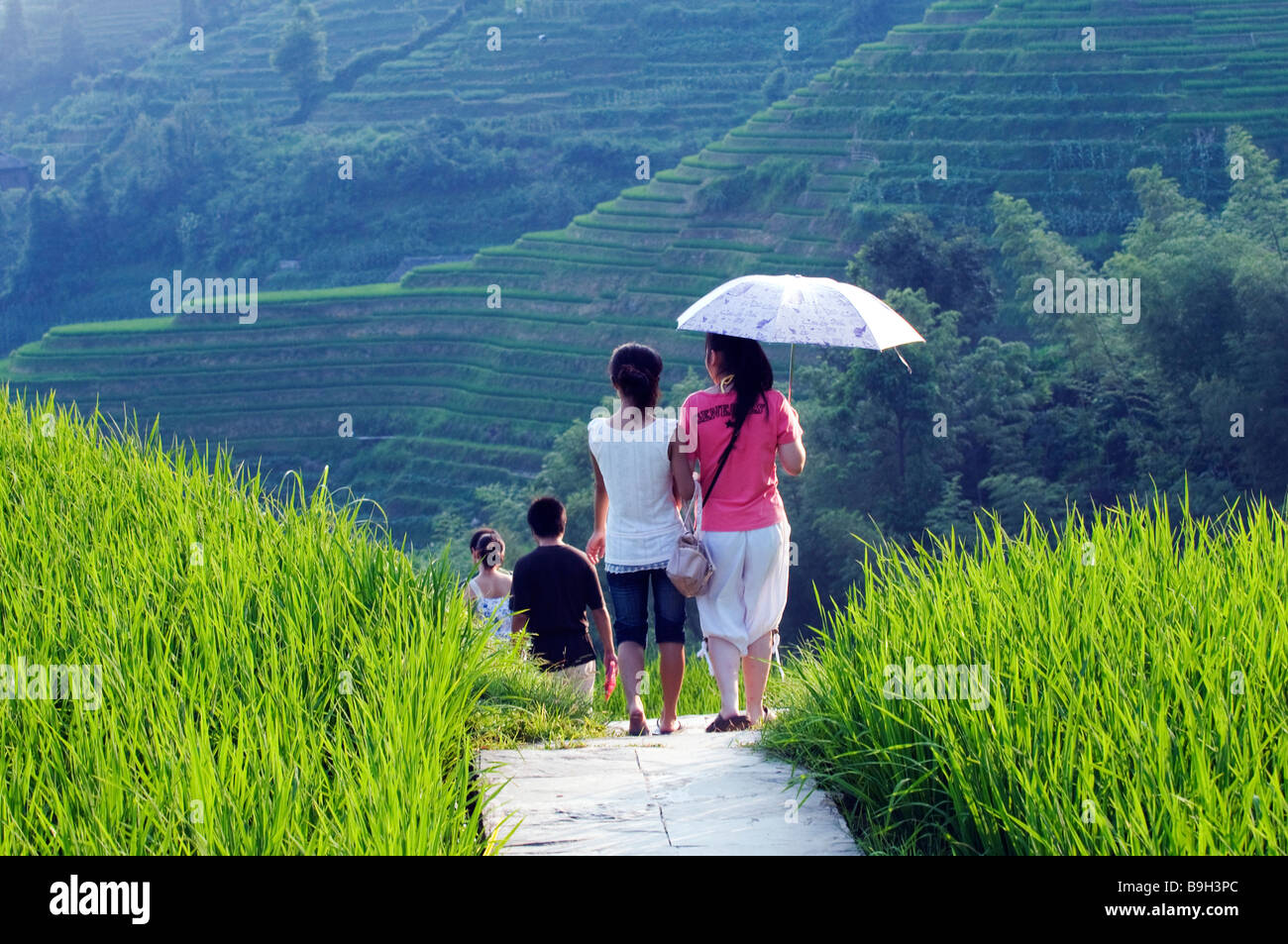 Cina, provincia di Guangxi, Longsheng Dragon's Backbone terrazze di riso nei pressi di Guilin. I turisti a piedi attraverso i campi di riso. Foto Stock