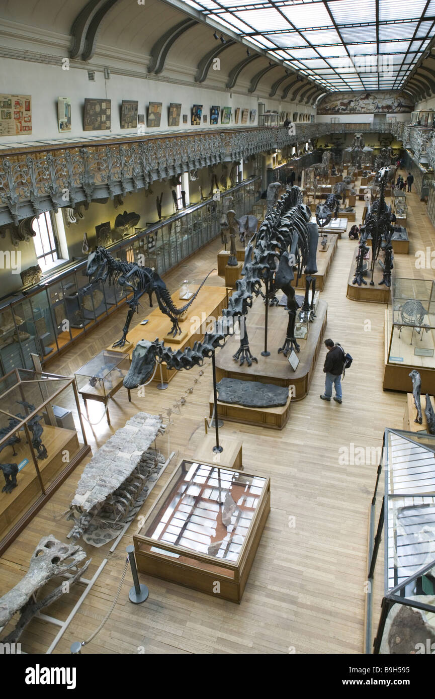 Anatomia mostra-hall visitatori considerazioni d'histoire temperamenti dinosauri presenta Francia galleria d'anatomie Foto Stock