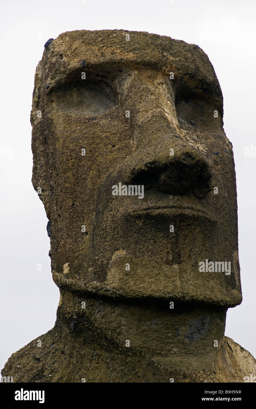 Cile, l'Isola di Pasqua. Testa di moai. Foto Stock