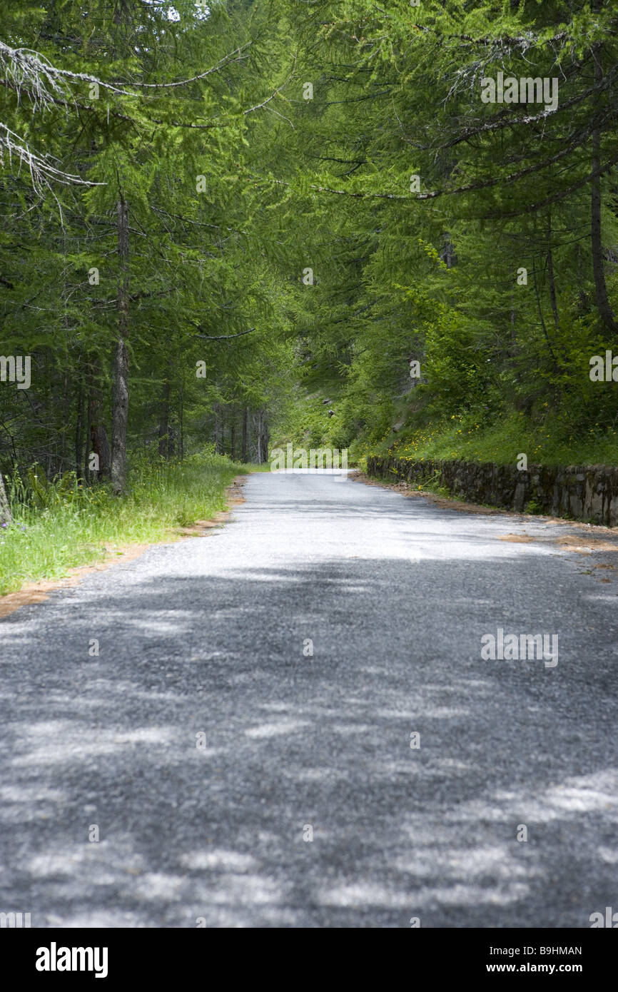 La Svizzera Tessin Valle Maggia Val Sambuco mountain-strade alpine street verso l'alto montagne mountain-street mountain forest Foto Stock